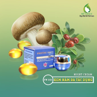 KEM NÁM ĐA TÁC DỤNG (NIGHT CREAM)