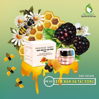 KEM NÁM ĐA TÁC DỤNG (DAY CREAM)